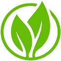 Leaf Icon